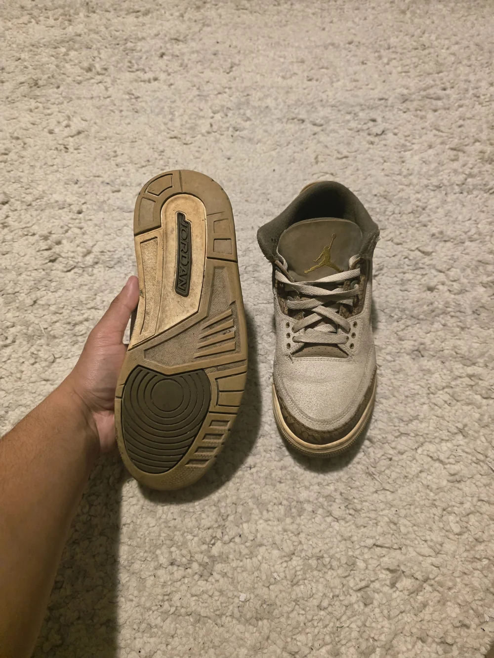 Air Jordan Retro 3 'Neutral Taupe' Men's Sneakers